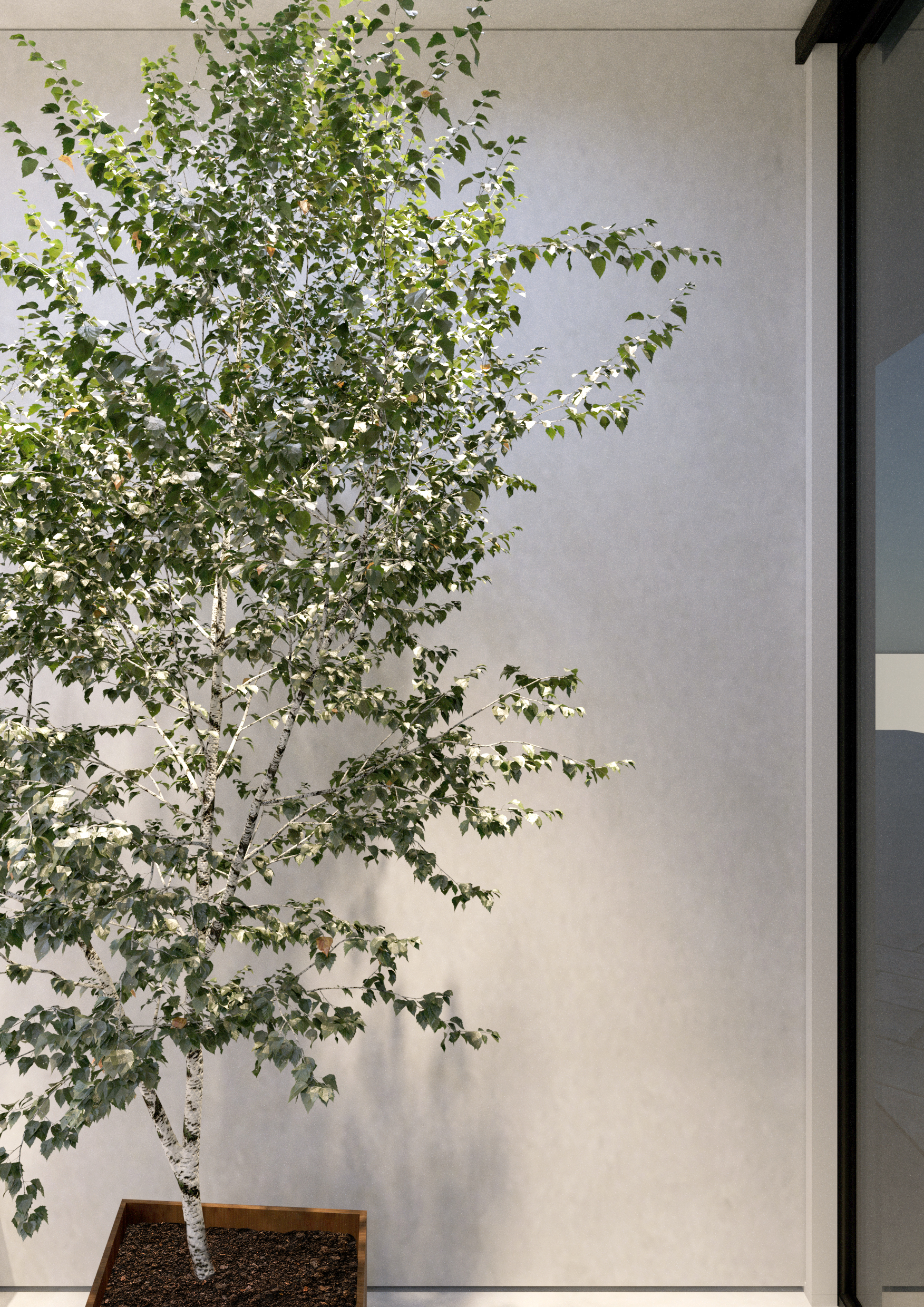 CoeLux Sky Spot